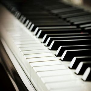 日本裸体在线视频
